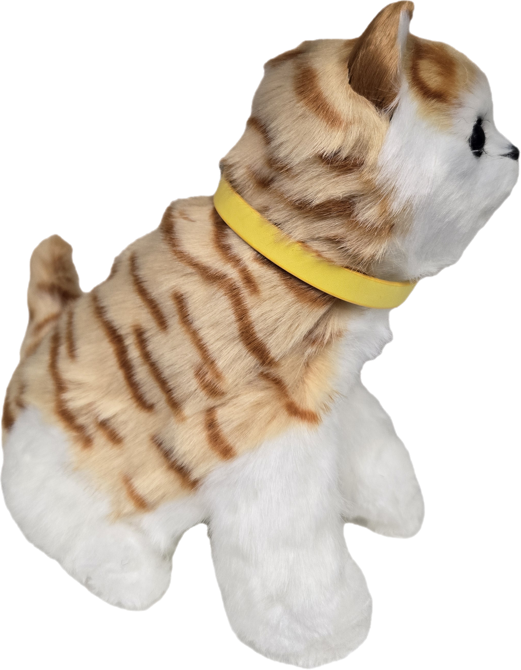 Cat Sensory Ginger