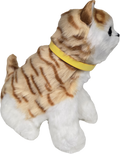 Cat Sensory Ginger