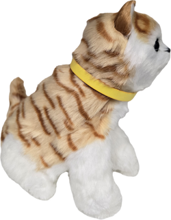 Cat Sensory Ginger