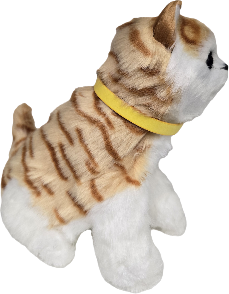 Cat Sensory Ginger